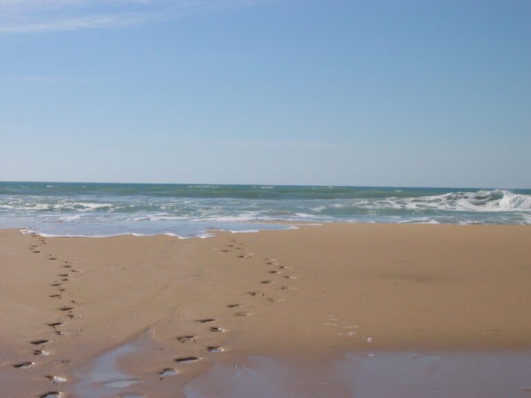 Fußabdrücke am Strand im Sand