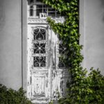 door, nature, plant, building, old, rom, past, abandoned building, weathered, abandoned, buildings, old house, old buildings