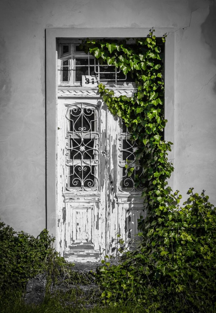 door, nature, plant, building, old, rom, past, abandoned building, weathered, abandoned, buildings, old house, old buildings